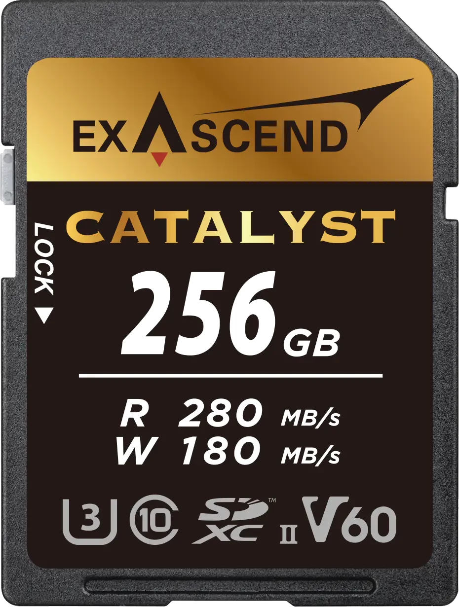 256GB