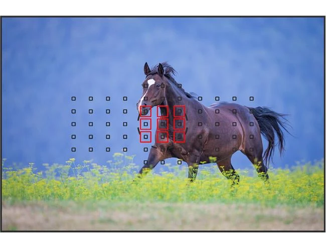 Sự khác biệt giữa lấy nét chữ thập cross-type và lấy nét thông thường