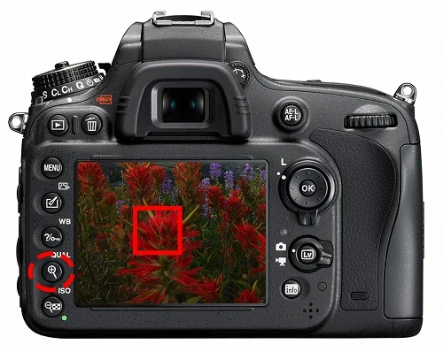 Chế độ lấy nét bằng tay trên máy ảnh của bạn?