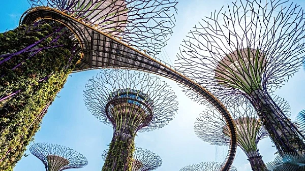 Khai thác những điều thú vị từ một ống kính zoom góc rộng 