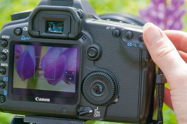 Khám phá những lợi ích khi dùng Live View