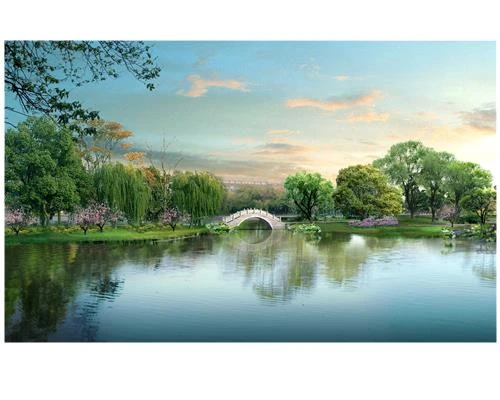 Khi nào nên lấy nét bằng chế độ MF?