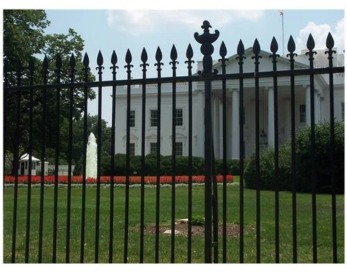 Khi nào nên lấy nét bằng chế độ MF?