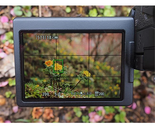 Kỹ thuật chinh phục ảnh phong cảnh với máy ảnh Canon 80D