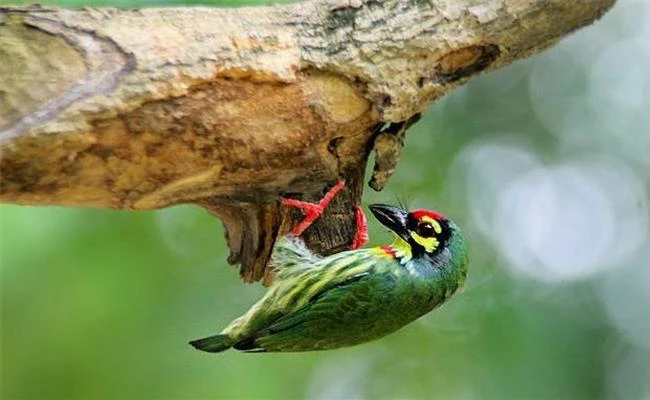 Góc nhìn ống kính và những điều cần biết