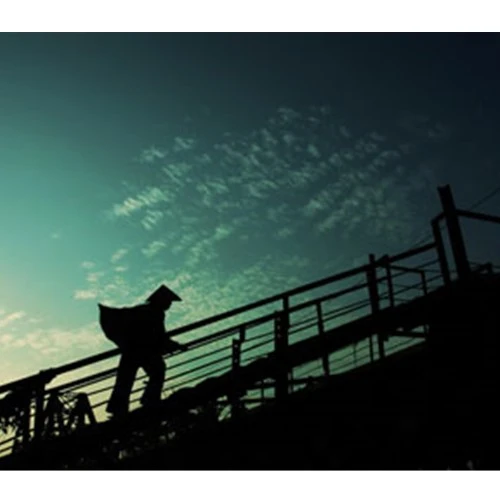 Kỹ thuật chụp ảnh ngược sáng