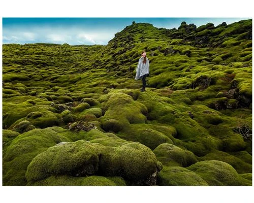 Lấy nét – Khi nào? Ở đâu?