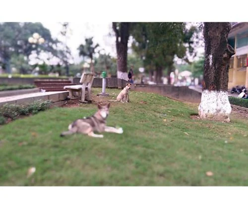 Lấy nét – Khi nào? Ở đâu?