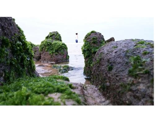 Lấy nét – Khi nào? Ở đâu?