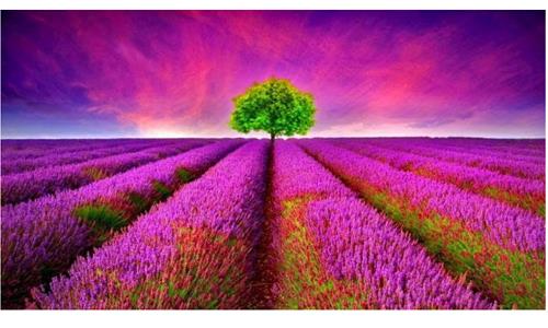 Máy Ảnh Canon EOS 100D / Kiss X7 Body (Hàng nhập khẩu)