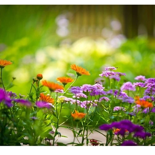 Mẹo chụp ảnh luôn nét cho người mới