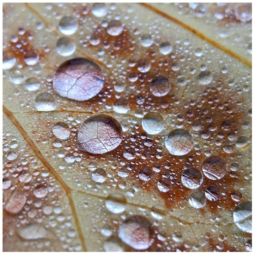 Mẹo nâng tay nghề nghiếp ảnh