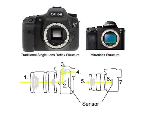 Nên và không nên chọn máy DSLR