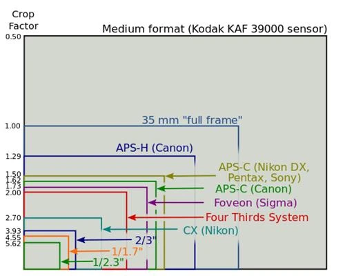 Nên và không nên chọn máy DSLR
