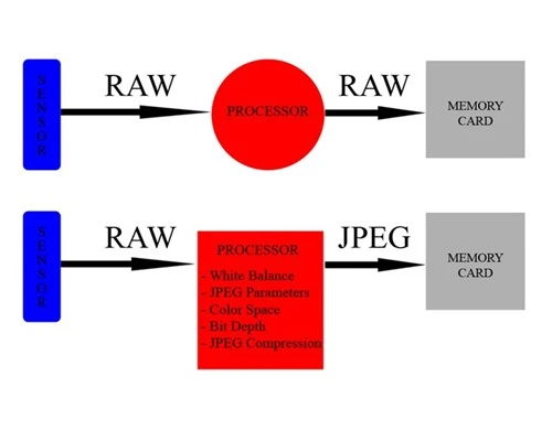 Phân biệt hai định dạng RAW và JPEG