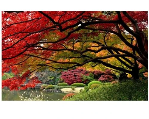 Những điều cần tránh khi chụp ảnh đường phố