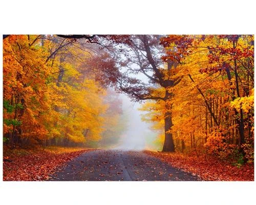 Những điều cần biết để trở thành nhiếp ảnh gia (Phần cuối)