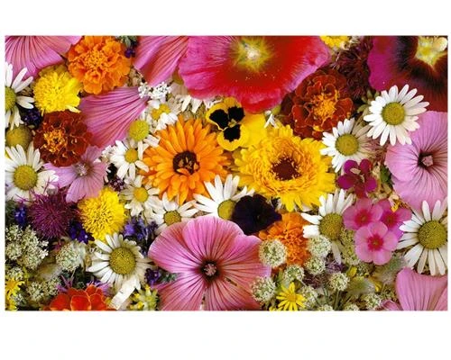 Những điều cần biết để trở thành nhiếp ảnh gia (Phần cuối)