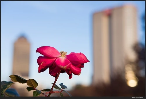 Ống Kính Fujifilm (Fujinon) XF 35mm F2 R WR (Đen)