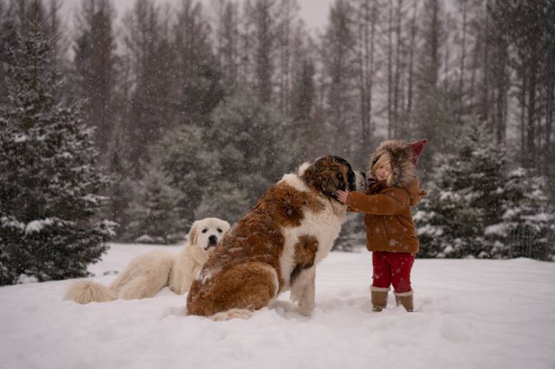 Ống Kính Sigma 28-70mm F2.8 DG DN (C) E-Mount