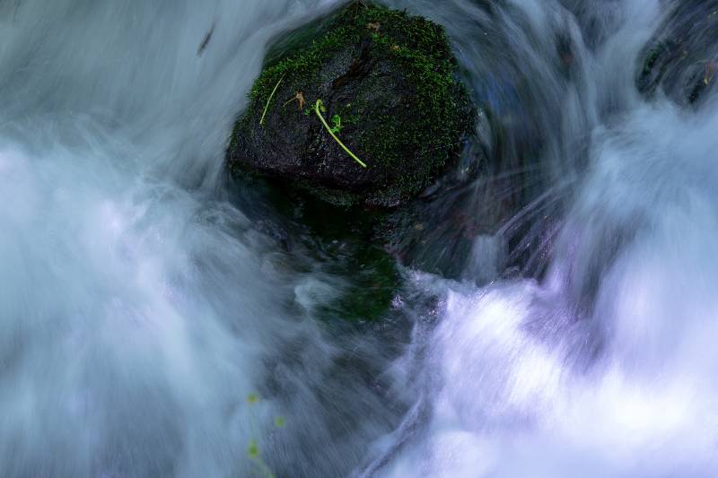 Ống Kính Sigma 56mm F/1.4 DC DN Contemporary cho Micro Four Third