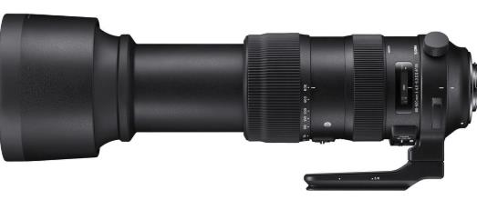 Ống Kính Sigma 60-600mm f/4.5-6.3 DG OS HSM Sports cho Nikon