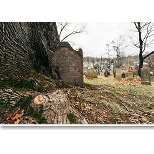 Ống Kính Sony FE 16-35mm F4 ZA OSS (SEL1635Z)