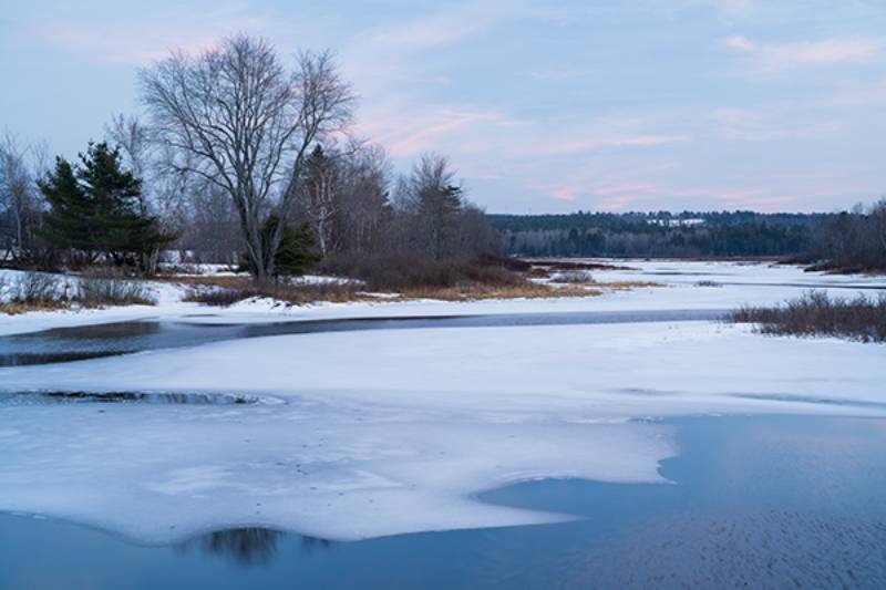 Ống Kính Sony FE 50 mm F1.2 GM (SEL50F12GM)