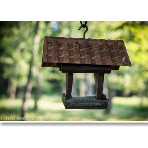 Ống Kính Sony FE 50mm f/1.8 (SEL50F18F)