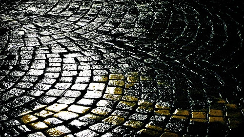 Lời khuyên để chụp ảnh trong ngày mưa