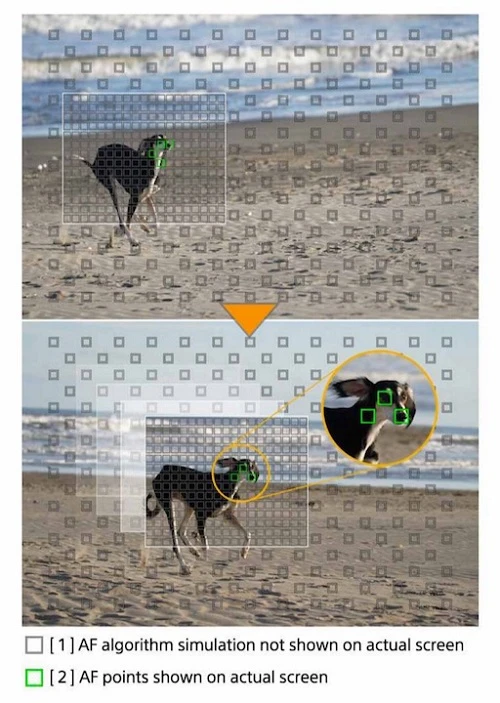 Sự khác biệt giữa Sony A6500 và Fujifilm X-T2 (Phần I)