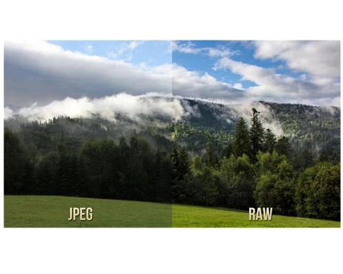 Tại sao nên chọn ảnh JPG thay cho RAW?