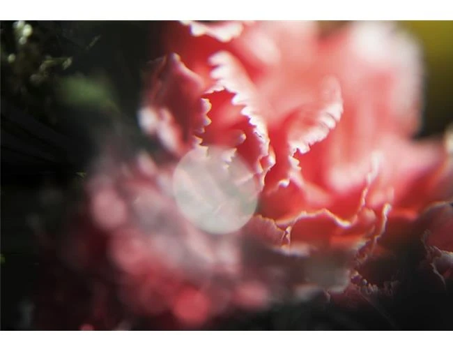 Tạo hiệu ứng ảnh lung linh với kính lúp