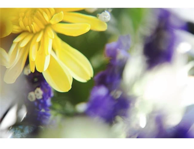 Tạo hiệu ứng ảnh lung linh với kính lúp