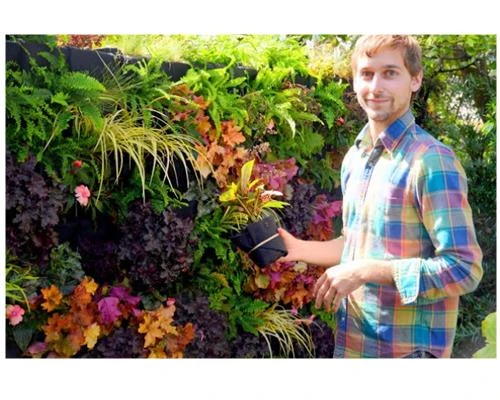 Tạo bố cục bằng màu sắc