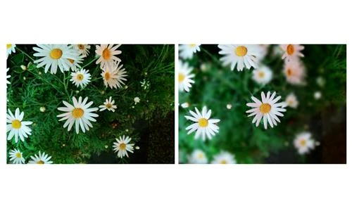 Với máy ảnh chuyên nghiệp, có thể thay đổi bố cục bằng DOF và phơi sáng