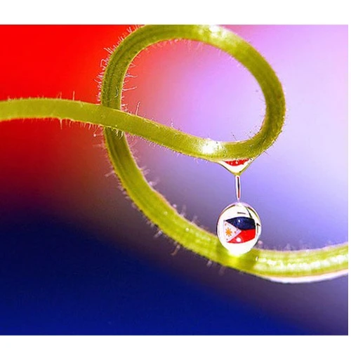 Thế giới tí hon với nghệ thuật macro