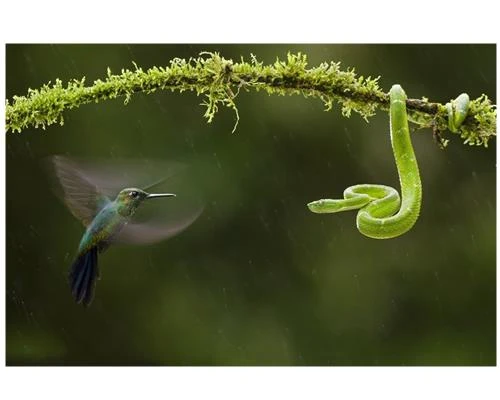 Thiên nhiên tươi đẹp từ máy ảnh Nikon