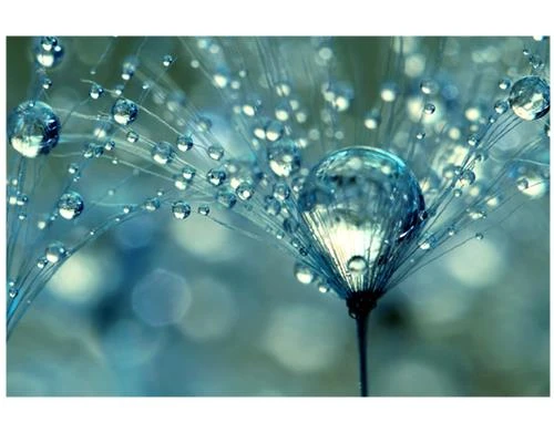 Thiên nhiên tươi đẹp từ máy ảnh Nikon