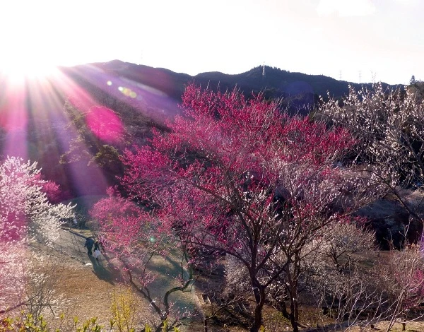 Thủ thuật tạo bức ảnh có chiều sâu