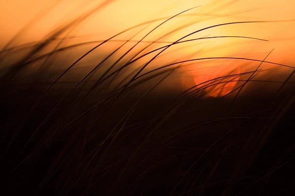 Thủ thuật tạo bức ảnh có chiều sâu