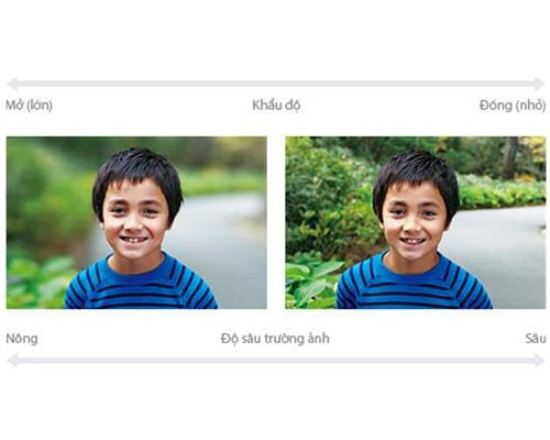 Những tiêu chí vàng để chọn ống kính