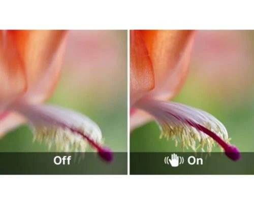 Cách xử lý rung lắc trên máy ảnh (Phần 2)